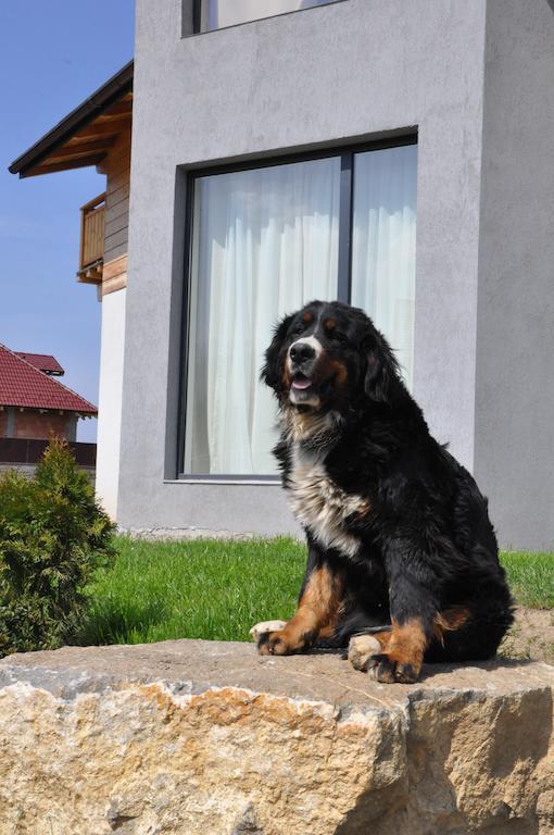 Villa Swiss 萨彻勒 外观 照片