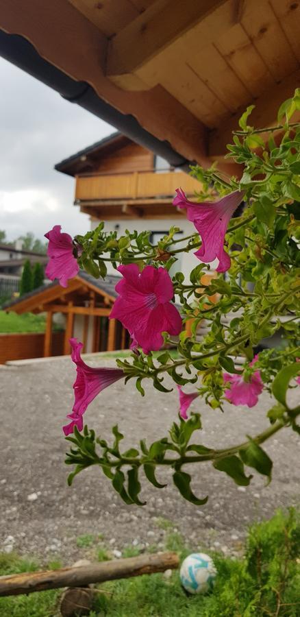 Villa Swiss 萨彻勒 外观 照片