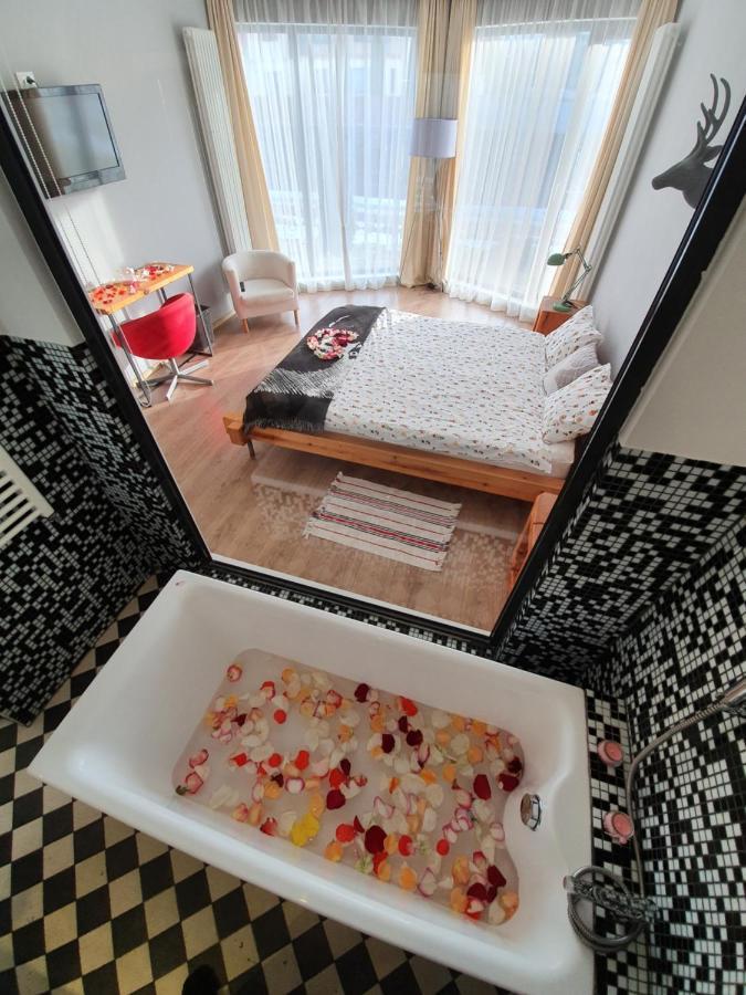 Villa Swiss 萨彻勒 外观 照片